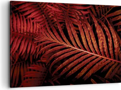 Produktbild von Bild auf Leinwand - Leinwandbild - Einteilig - Rot Blätter Palmen - 100x70cm - Wand Bild - Wanddeko - Wandbilder - Leinwanddruck - Bilder - Wanddekoration - Leinwand bilder - Wandbild - AA100x70-4816