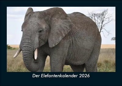 Produktbild von Der Elefantenkalender 2026 Fotokalender - Querformat DIN A5, Monatskalender mit Bild-Motiven von Haustieren, Bauernhof, wilden Tieren und Raubtieren