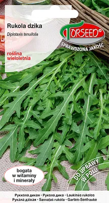 Produktbild von Samen der Wilden Rauke Diplotaxis tenuifolia 0,5 g - Torseed