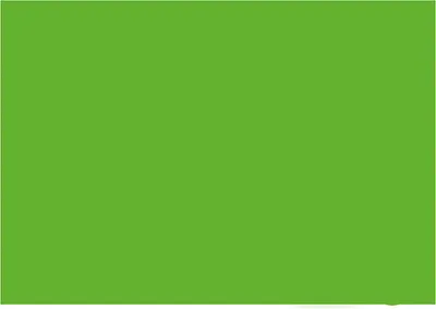 Produktbild von Folia Tonpapier 130g/m², 50x70cm 100 Bögen maigrün