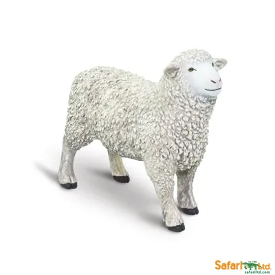 Obrázek produktu pro Safari Ltd 162429 Ovce 8 cm série Farma