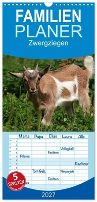 Produktbild von Familienplaner 2027 - Zwergziegen mit 5 Spalten (Wandkalender, 21 x 45 cm) CALVENDO