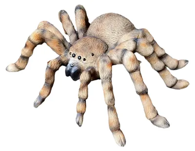 Produktbild von Gartenfigur Vogelspinne 26 cm – detailreiche Spinnenfigur aus Kunstharz für den Außenbereich
