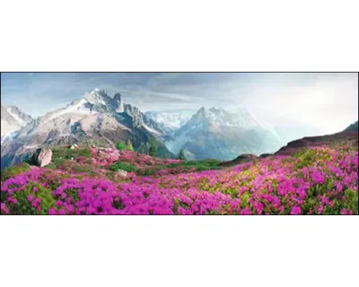 Produktbild von Glasbild Mountain Landscape II 125x50 cm