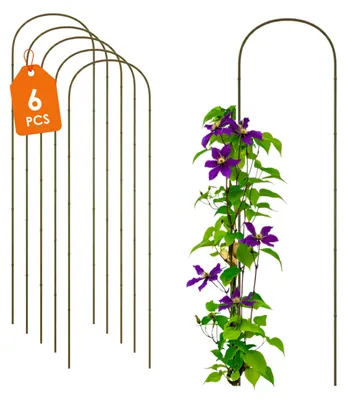 Obrázek produktu pro Bambusová opora pro rostliny 75 x 20 cm, přírodní – sada 6 ks – dřevěný oblouk jako opora pro popínavé rostliny