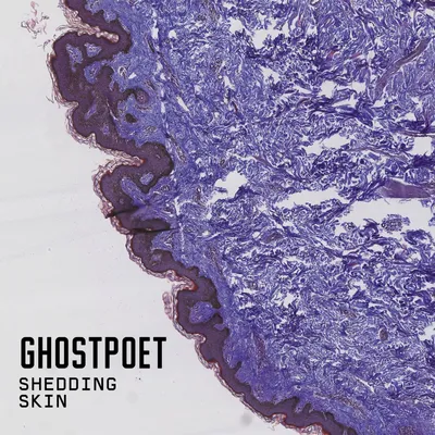 Obrázek produktu pro Ghostpoet: Shedding Skin