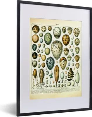 Produktbild von MuchoWow® Gerahmtes Poster Ei - Tiere - Vintage 30x40 cm - Poster mit Schwarzem Bilderrahmen Wandposter Rahmen Foto Bilder - Wandposter Schlafzimmer