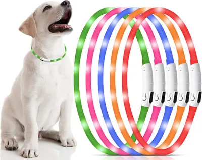 Produktbild von Buntes Silikon Haustierhalsband, Nachtbeleuchtung, wiederaufladbar, für kleine und große Hunde,zuschneidbar, Halsumfang 50 cm
