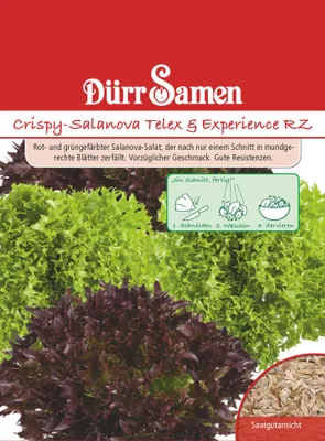 Artikelbild 1 von 'Crispy-Salanova Telex + Experience' aus der Kategorie Salatsamen