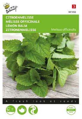 Produktbild von Buzzy Seeds Zitronenmelisse Kräutersamen - 1 Saatgutbeutel