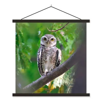 Produktbild von MuchoWow® Textilposter Eule auf Ast sitzend 120x120 cm mit schwarzem Rahmen - Aufhängungsset