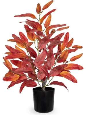 Productafbeelding van Kunstmatige Eucalyptusplant voor Herfstdecoratie