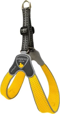 Image de Cage pour chien douce et respirante, pour chiens de petite à moyenne taille - Jaune - Taille 7