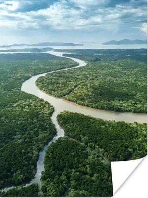 Produktbild von MuchoWow® Poster Luftaufnahme eines Waldes und eines Flusses im asiatischen Thailand 60x80 cm - Schlafzimmer Dekoration