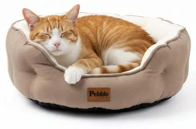 Produktbild von Pebble Katzenbett 51 x 48 cm – flauschiges Katzenkörbchen, waschbar, weiches Plüsch, Beige (S)