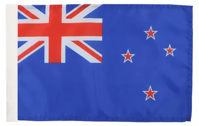 Neuseeland-Flagge 45x30 cm, Polyester 100D, Masttunnel