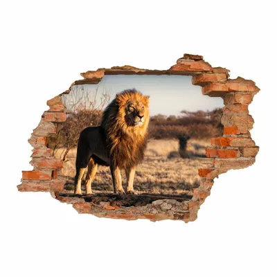 Produktbild von nikima - 103 Wandtattoo Löwe Savanne - Loch in der Wand : Größe - 1250 x 870 mm
