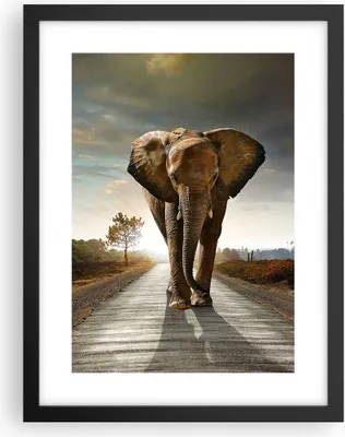Produktbild von Gerahmtes Poster - Schwarzer Rahmen - Elefant Straße Landschaft - 30x40 cm - Wand Bild - Wanddeko - Wandbilder - Wandposter - Bilderrahmen - Bilder - Kunstdruck - Wandbild - P2BPA30x40-0214