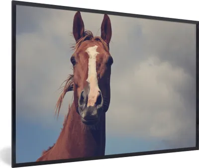 Produktbild von MuchoWow® MuchoWow® Gerahmtes Poster Pferd - Wolken - Porträt 60x40 cm - Poster mit zchwarzem Bilderrahmen - Printing - Wanddeko Schlafzimmer