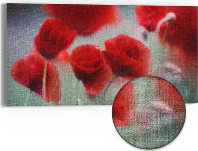 Produktbild von DEQORI Hybrid Leinwand Bild 60x30 cm 'Mohnblütenzauber' Wandbild Glas flach modern