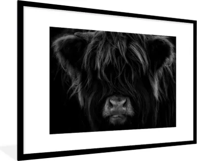 Produktbild von MuchoWow® Gerahmtes Poster Schottischer Highlander - Kuh - Porträt - Tiere - Schwarz - Weiß 90x60 cm - Poster mit Schwarzem Bilderrahmen Wandposter Rahmen Foto Bilder - Wanddekoration - Fotos