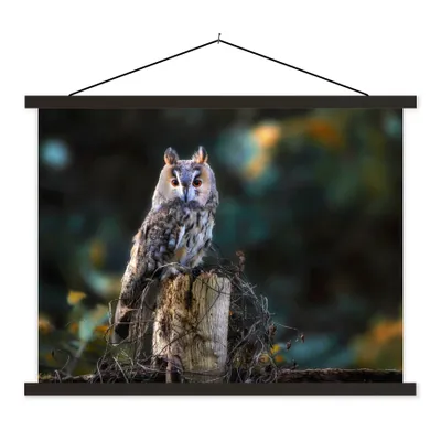 Produktbild von MuchoWow® Textilposter Eule - Herbst - Vogel - Äste 150x113 cm mit schwarzem Rahmen - Wohnzimmer