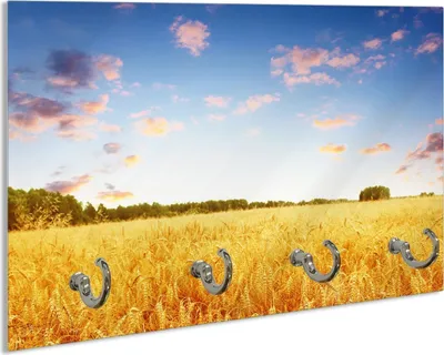 Produktbild von Wallario Schlüsselbrett aus Glas, Motiv: Weizenfeld unter blauem Himmel, 30 x 20 cm mit 4 Haken