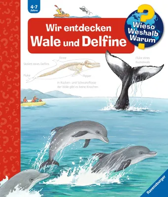 Produktbild von Wir entdecken Wale und Delfine