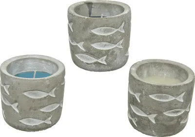 Image de 4 Bougie Citronelle Avec Pot En Ciment 70g ø7x7,5cm Couleurs Assorties