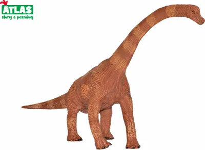 Obrázok produktu pre G - Figurka Dino Brachiosaurus 30 cm