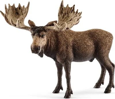 Produktbild von Schleich - Tierfiguren, Elch Bulle; 14781