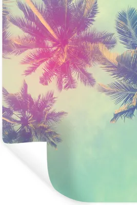 Produktbild von MuchoWow® Wandtattoo Wandsticker Wandaufkleber Palmen - Palmenblätter - Sommer - Tropisch 20x30 cm Selbstklebend und Repositionierbar - Sticker - Dekorfolie