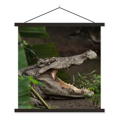 Produktbild von MuchoWow® Textilposter Krokodil mit offenem Maul 60x60 cm mit schwarzem Rahmen - Posteraufhänger