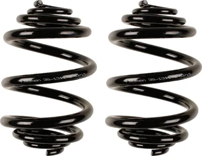 Productafbeelding van Set veren voor de achteras, geschikt voor voertuigen van merken zoals VW TRANSPORTER, met BILSTEIN IAM-expertise
