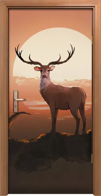 Produktbild von Türposter 90x200 cm Türaufkleber Türtapete Türfolie Klebefolie der Hirsch Tiere Sonnenuntergang
