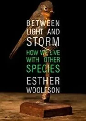 Produktbild von Between Light and Storm