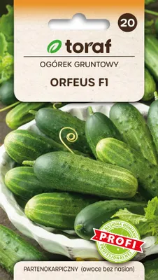 Zdjęcie produktu dla Ogórek gruntowy ORFEUS F1 bez nasion wczesny nasiona 2g Toraf 131