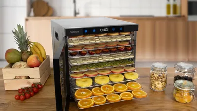Immagine prodotto di Salente QuickDry, essiccatore di frutta, acciaio inox, 10 vassoi di essiccazione in acciaio inox