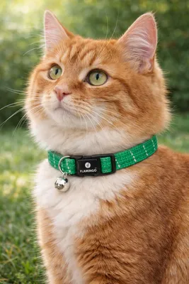 Immagine prodotto di Collare per gatti con fenicottero Elza verde