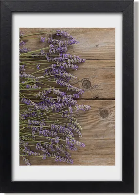 Produktbild von Bild 20x30 MDF-Rahmen, Wandkunst Lavendel auf dem Holz