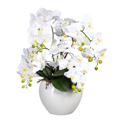 Produktbild von künstliche Orchidee REAL TOUCH H. 56cm weiß in weißem Keramiktopf GASPER