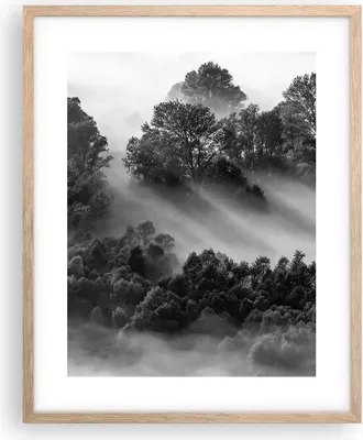 Produktbild von Gerahmtes Poster - Rahmen in heller Eiche - Schwarzweiß Bäume Nebel - 40x50 cm - Wand Bild - Wanddeko - Wandbilder - Kunstposter - Wandposter - Bilderrahmen - Bilder - Kunstdruck - P2NPA40x50-4510