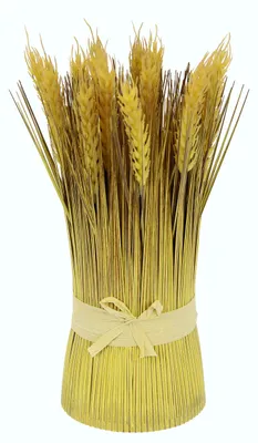 Produktbild von Kunstgrasbundel, kunstgras, kunstmatig staand gras, kunstgras, siergras, decoratief gras, grasbundel, kunstplant, herbstdekoration, Blumen, Grasbouquet, kunstblume.