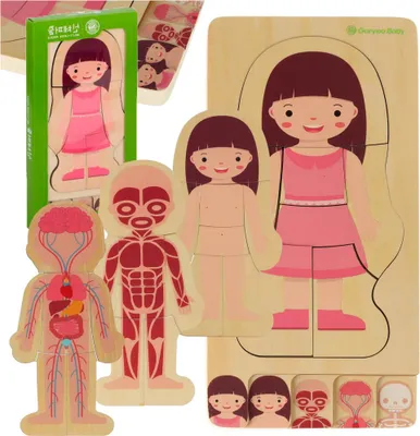 Produktbild von Aga Holzpuzzle Montessori Körperteile Mädchen
