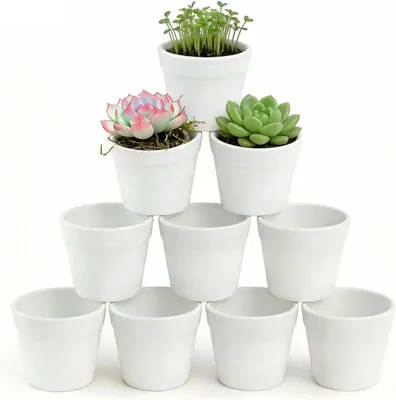 Produktbild von Blumentopf Kunststoff weiß, 7 cm Durchmesser, 10 Stück, für Sukkulenten