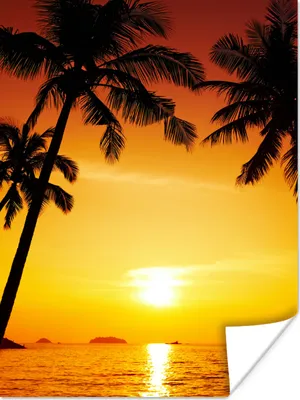 Produktbild von MuchoWow® Poster Palme - Sonnenuntergang - Strand - Orange - Tropisch 90x120 cm - Wohnzimmer