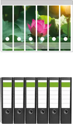 Produktbild von Wallario 6 Stück breite Ordner inkl. Klebeetiketten mit Motive Pinke Lotosblüte im Sonnenschein -  Set mit Rückenschildern / Ordnerrücken Stickern