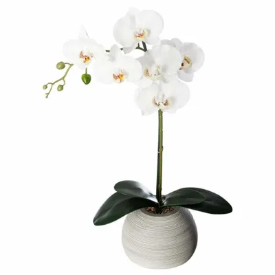 Obrázek produktu pro Bílá umělá orchidej v květináči, výška 53 cm