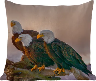 Produktbild von MuchoWow® Outdoor Kissen - Vögel - Natur - Raubvögel - Adler - 60x60 cm - Wetterfest - Lounge Kissen - Dekoration - Schlaf Kissen