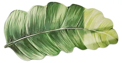 Zdjęcie produktu dla Mata łazienkowa w kształcie liścia 40 x 80 cm